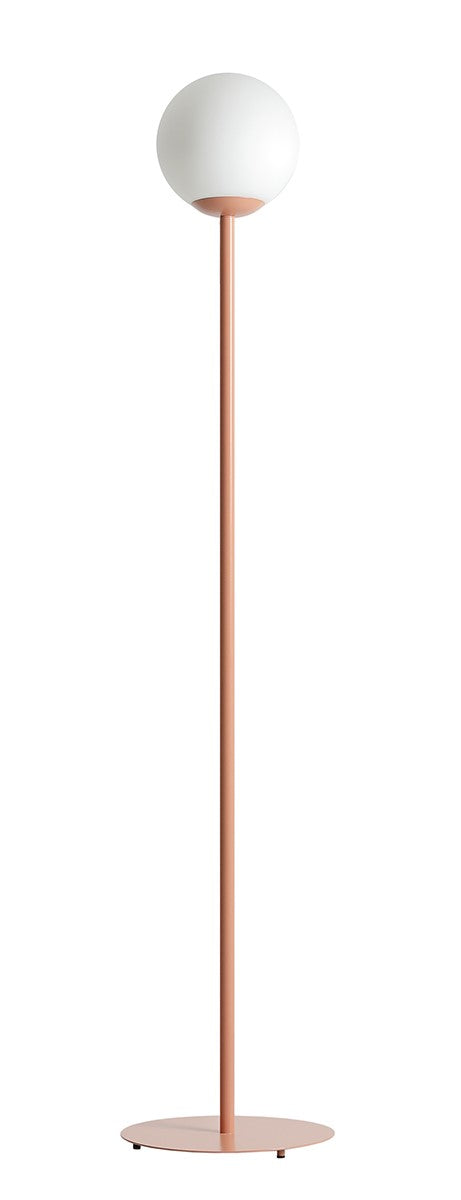 PIVANO H – Koralle