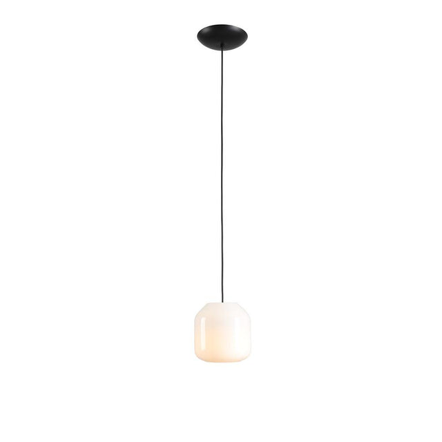 FLAVIO S – Orchidee