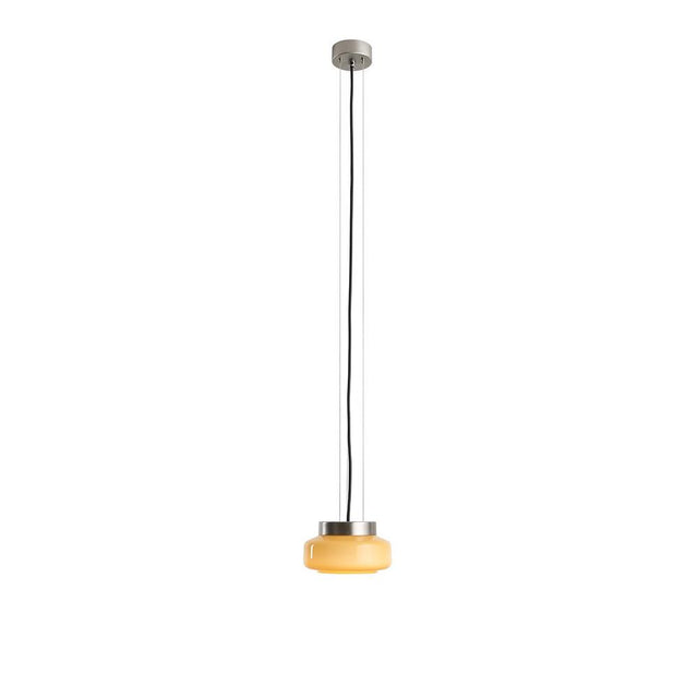 BONVIA S – Ingwer