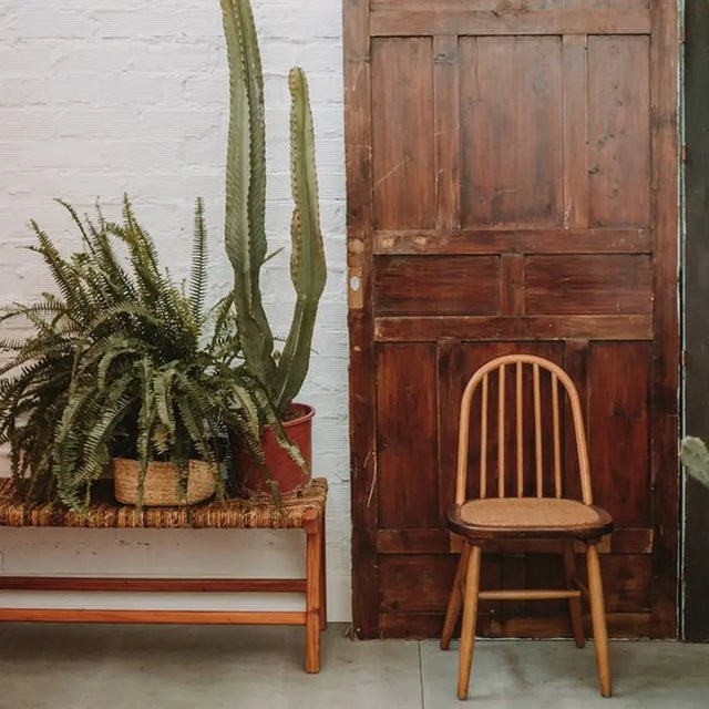 APPLE Stuhl - Atelier Gusto