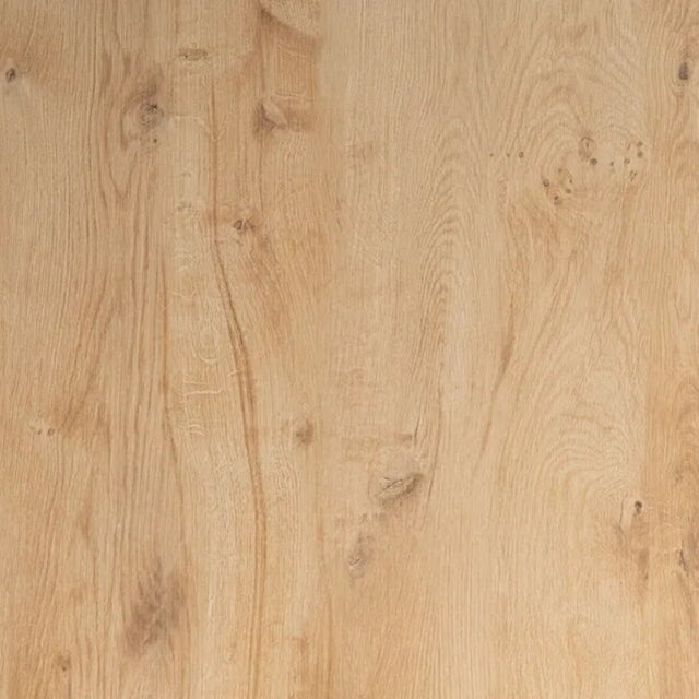 PIA Bartisch - Atelier Gusto