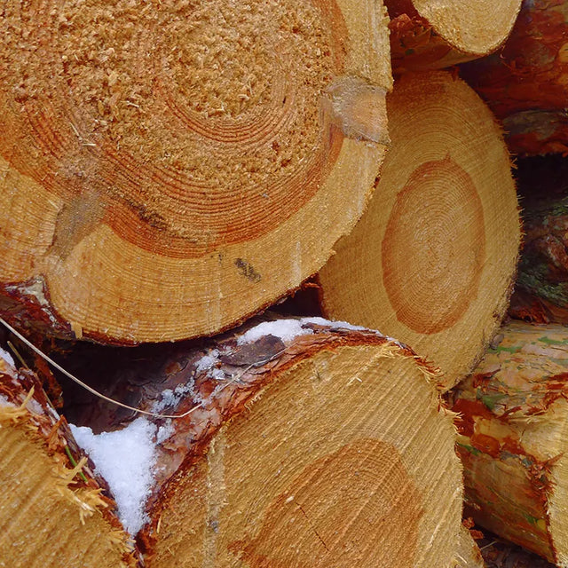 Massivholz ist nicht gleich Massivholz