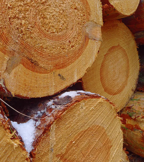 Massivholz ist nicht gleich Massivholz