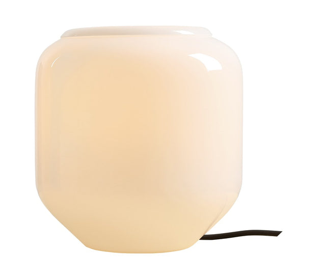 FLAVIO T S – Orchidee