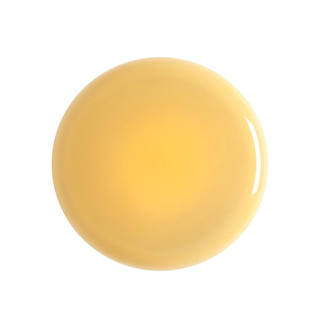 BONVIA L S – Ingwer