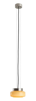 BONVIA S – Ingwer
