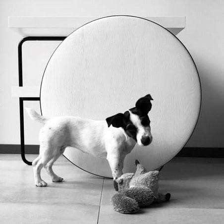 CHARIOT Servierwagen - Atelier Gusto